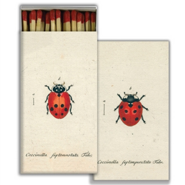 Ladybug Match Set