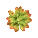 Fake Succulents Wholesale Echeveria 15 Varieties