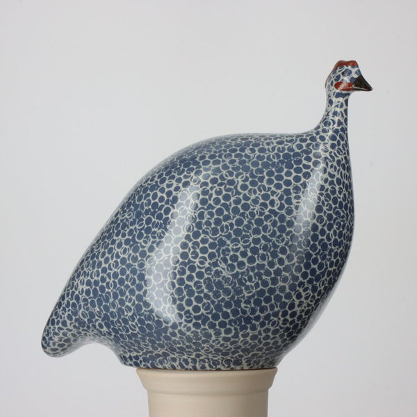 Electric Blue Speckled White Guinea Fowl - Medium
