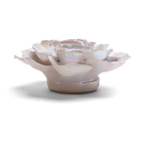 Pearl Ranunculus Gift Box Dried Flowers Ceramic Flower