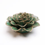 Jungle Green Tea Rose