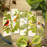 S/5 Birdsong Bookmarks