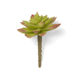Fake Succulents Wholesale Echeveria 15 Varieties