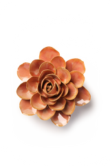 Ceramic Botanical Decor Flower Shop Gift Peach Pink Begonia