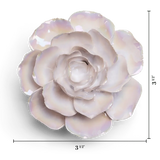 Pearl Ranunculus Gift Box Dried Flowers Ceramic Flower