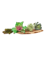 Fake Succulents Wholesale Echeveria 15 Varieties