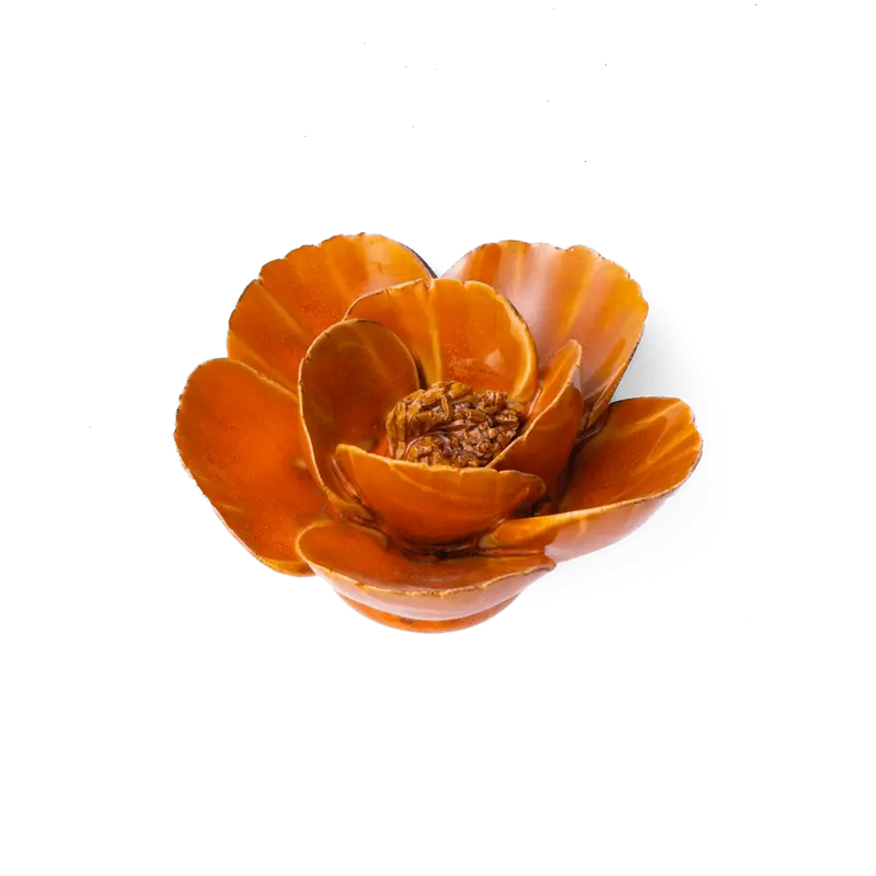 Burnt Orange Poppy Flower