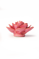 Blush Pink Begonia Ceramic Flowers - Rustic Flower Gifts