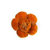 Burnt Orange Poppy Flower