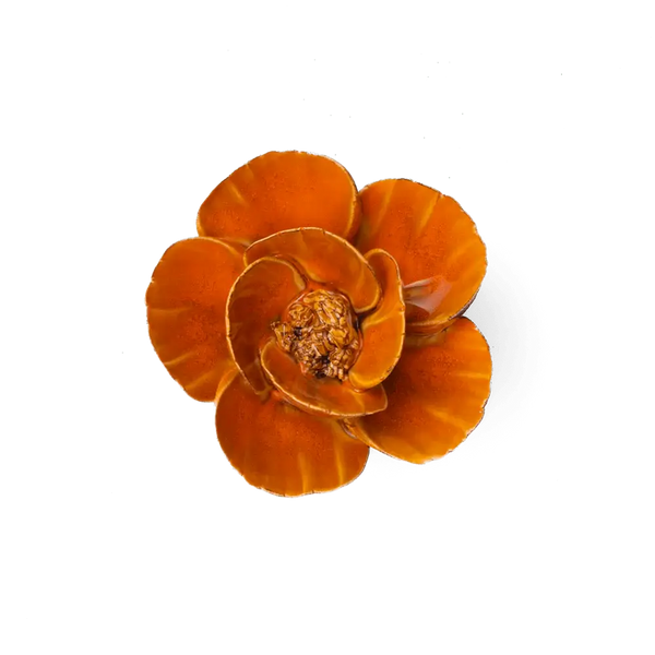 Burnt Orange Poppy Flower