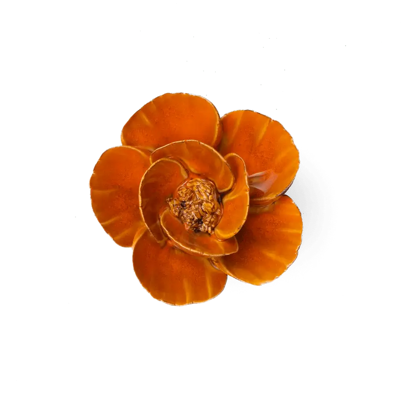 Burnt Orange Poppy Flower