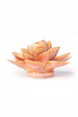 Ceramic Botanical Decor Flower Shop Gift Peach Pink Begonia