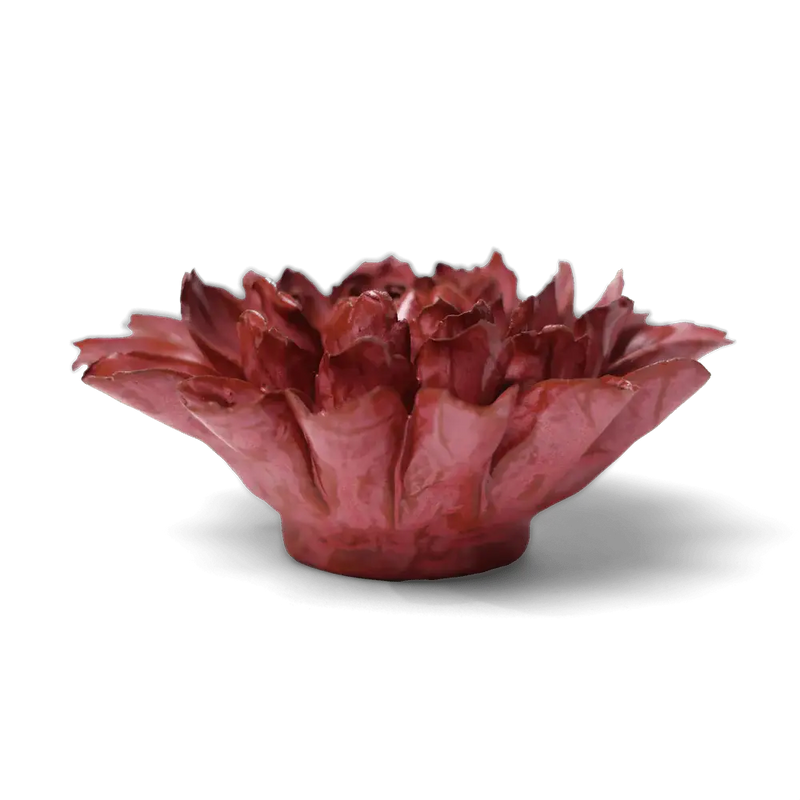 Blush Pink Star Dahlia