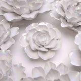 Pearl Ranunculus Gift Box Dried Flowers Ceramic Flower