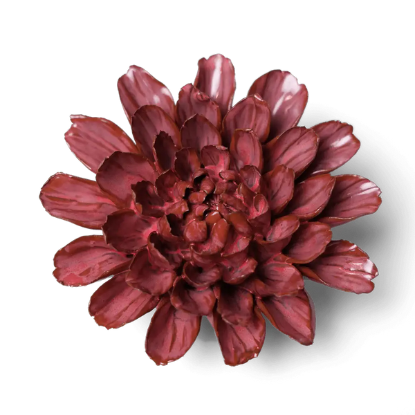 Blush Pink Star Dahlia