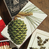 Matches - Pinecones