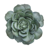 Fake Succulents Wholesale Echeveria 15 Varieties