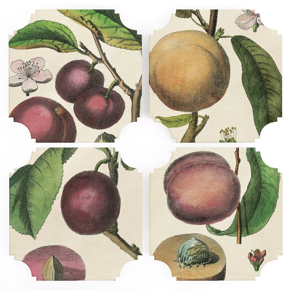 S/4 19th c. Fruit Prints Coasters