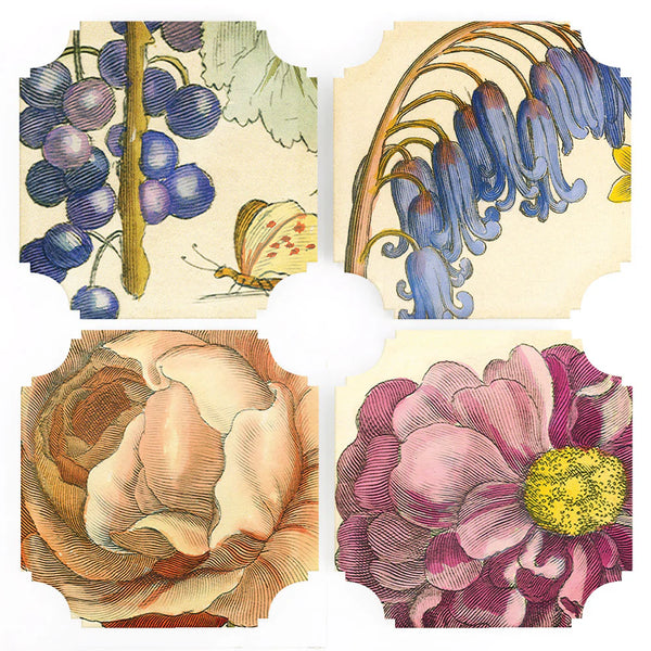 S/4 Hollar Floral Coasters