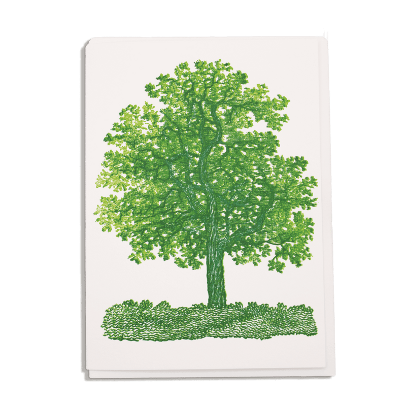 Oak Tree Card