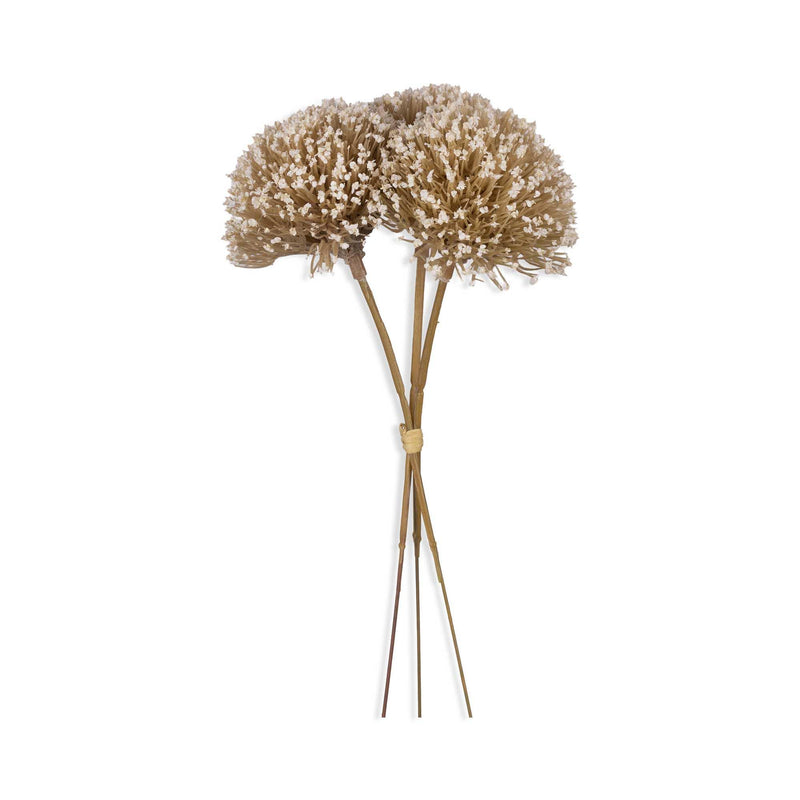 White Allium Bunch