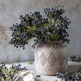 Brunia Berry
