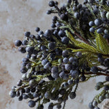 Brunia Berry