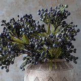 Brunia Berry