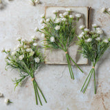 White Hellebore Bunch