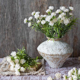 White Hellebore Bunch