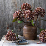 Antique Pink Hydrangea