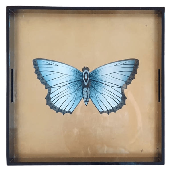 Lacquered Butterfly Tray