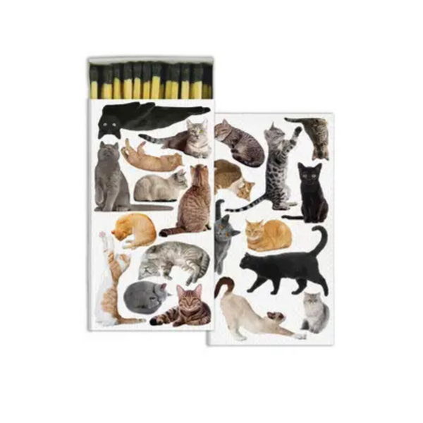 Cats Match Set
