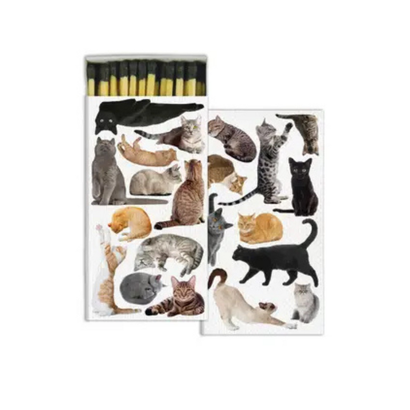 Cats Match Set