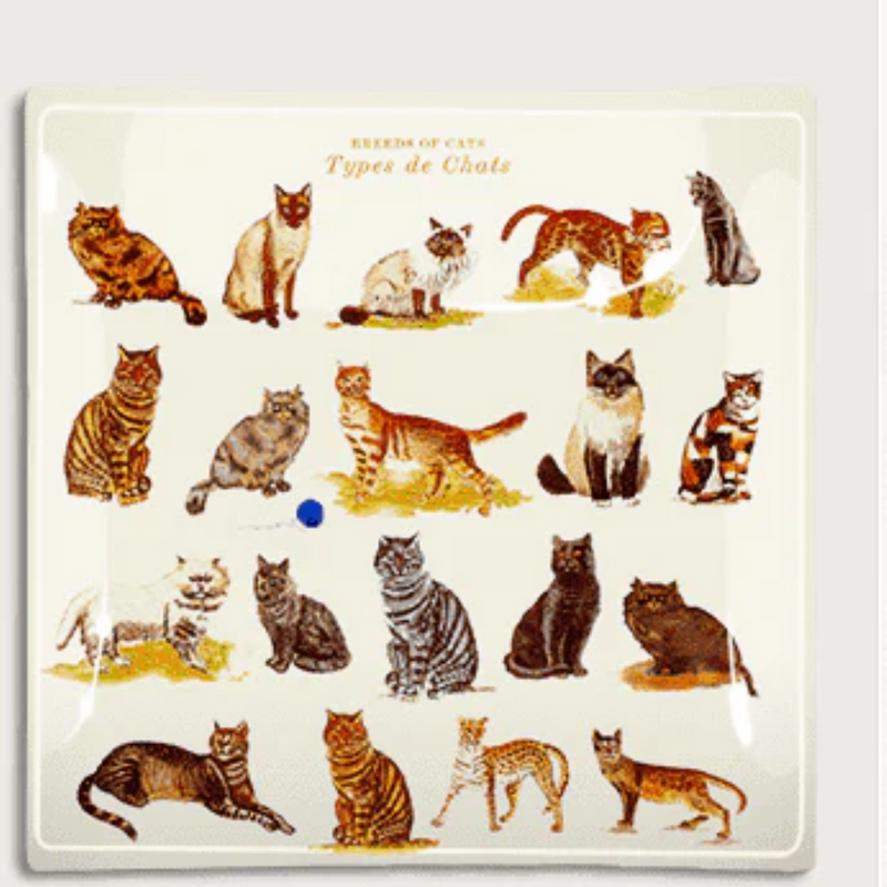 Types of Cats Decoupage Glass Tray