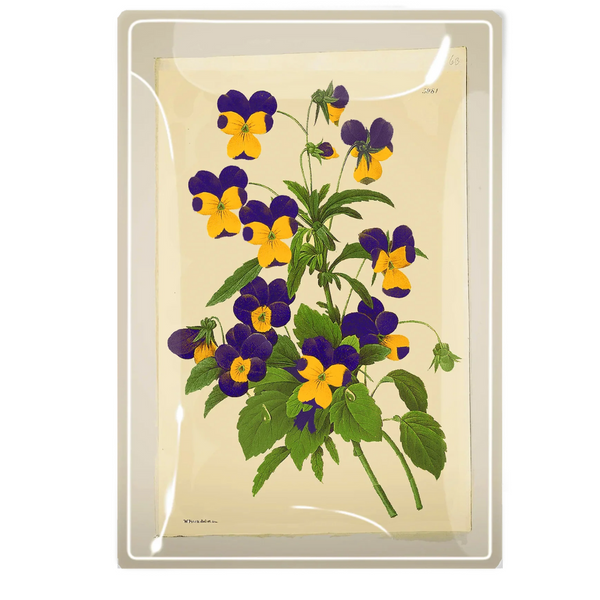 Pansies Decoupage Glass Tray