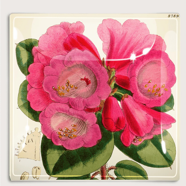 Pink Flower Decoupage Glass Tray
