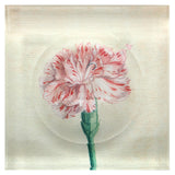 Carnation Trinket Tray