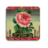 S/4 John Derian Floral Coasters