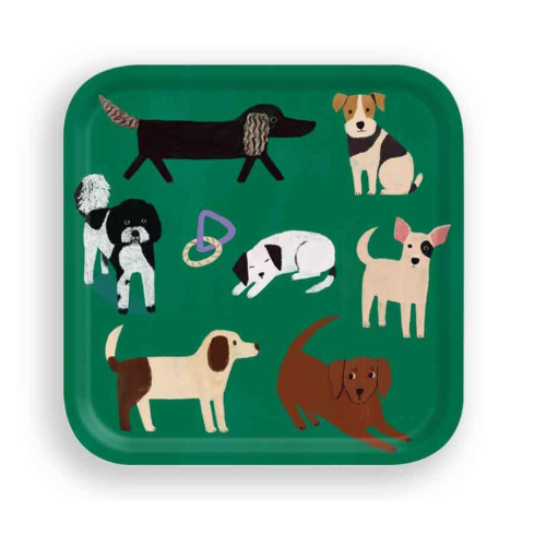 Small Dog Tray