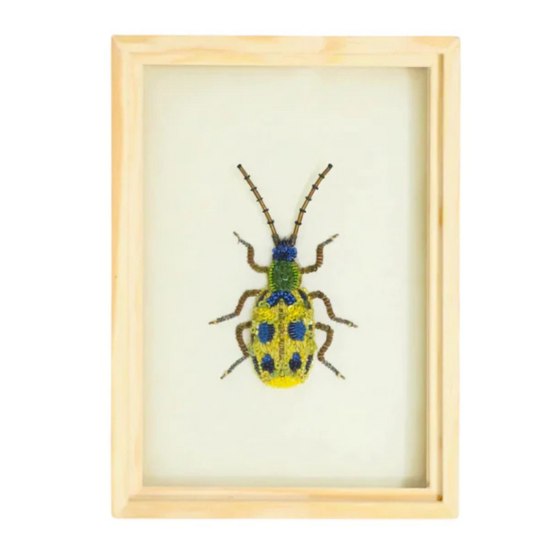 Spotted Cucumber Beetle