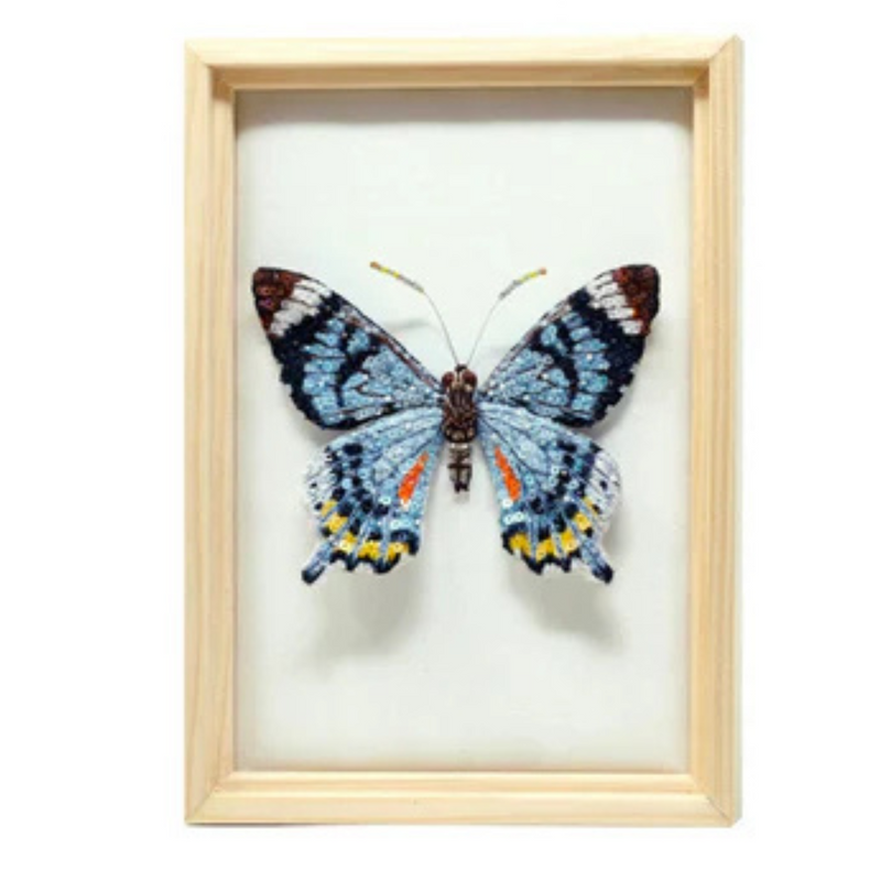 Fluted Swallowtail