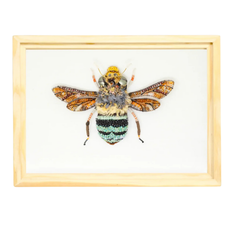 Blue Banded Bee