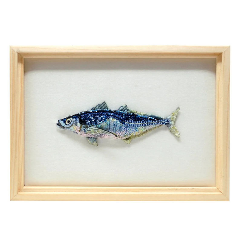 Atlantic Horse Mackerel