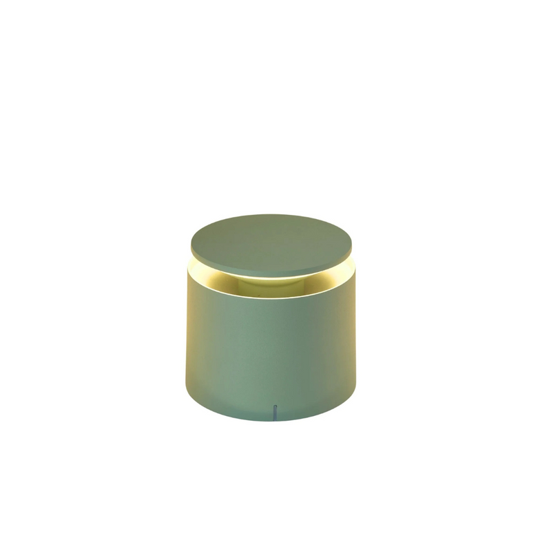 Push Up Pro - Sage