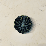 Poppy Ramekin