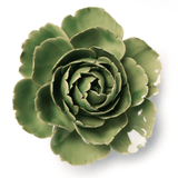 Jade Green English Rose Ceramic Flower
