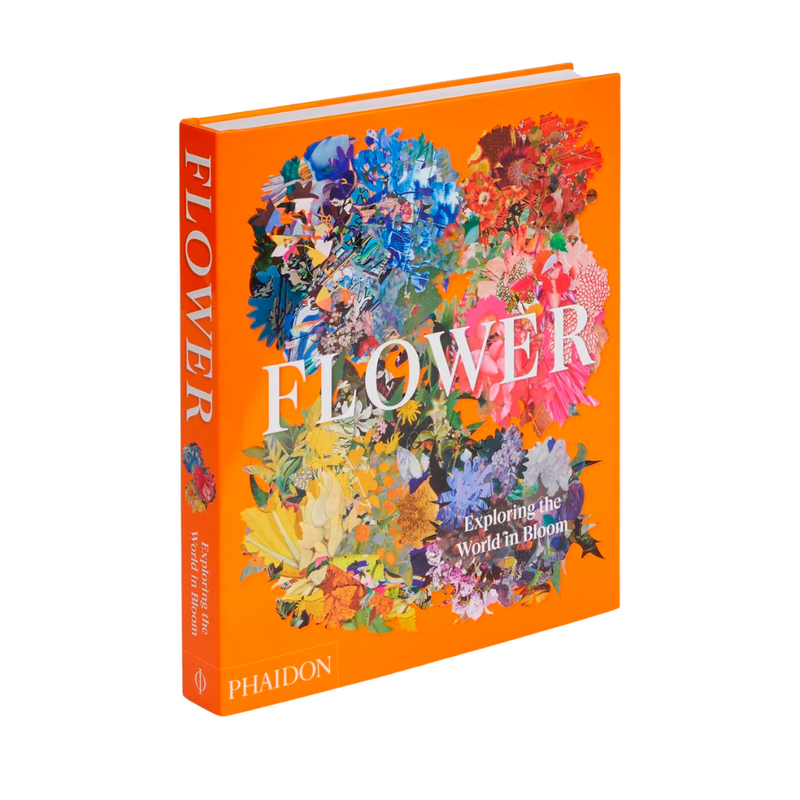 Flower: Exploring the World in Bloom