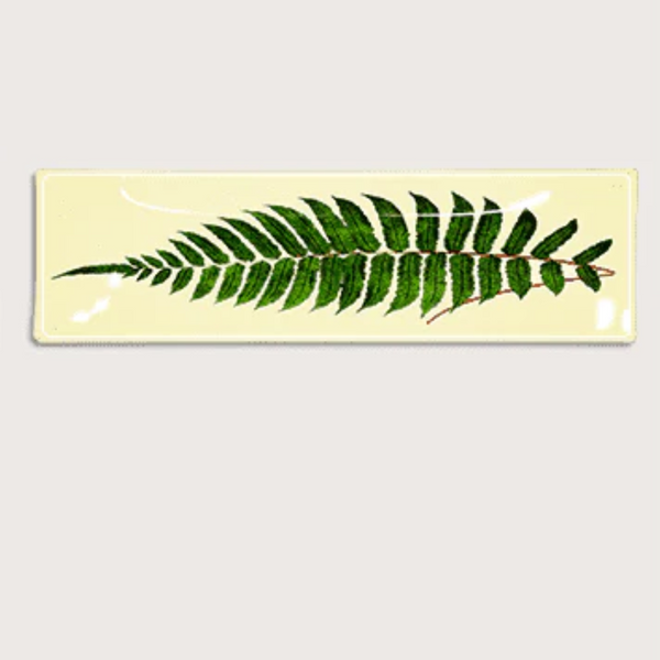 Fern Frond Decoupage Glass Tray