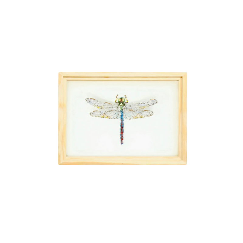 Green Darner Dragonfly